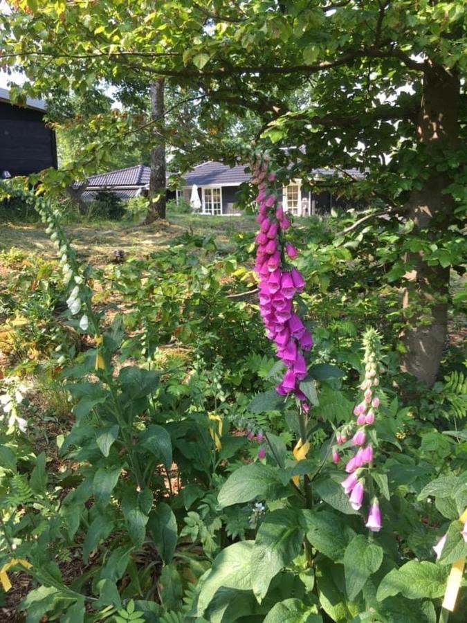 Backahusets B&B Höör Buitenkant foto
