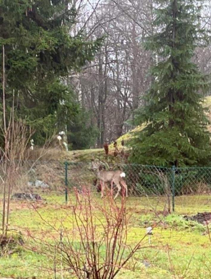 Backahusets B&B Höör Buitenkant foto
